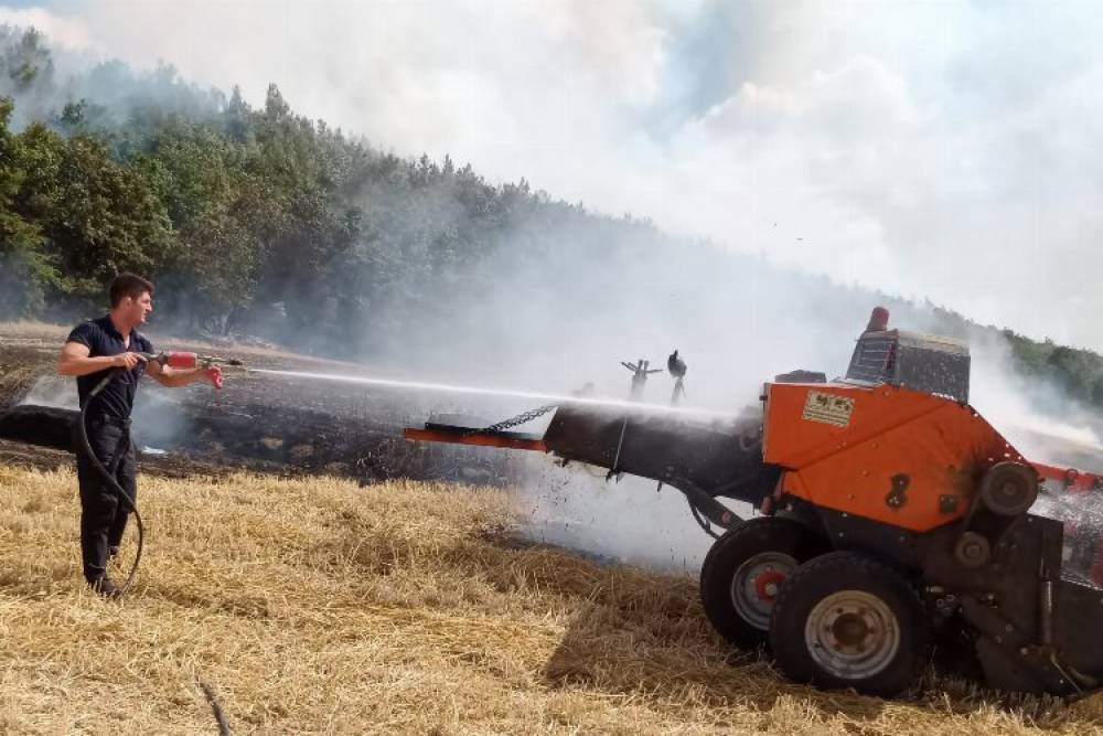 Edirne'de anız yangını ormana sıçradı